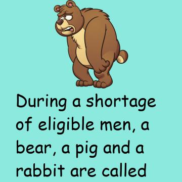 A Bear, A Pig And A Rabbit