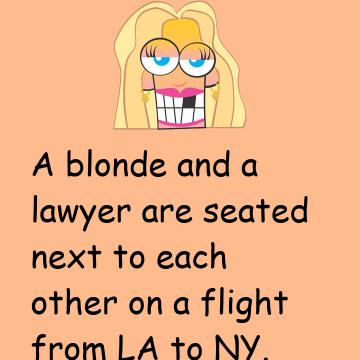 A Blonde And A Lawyer