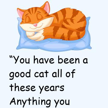 A Cat Dies And Goes To Heaven