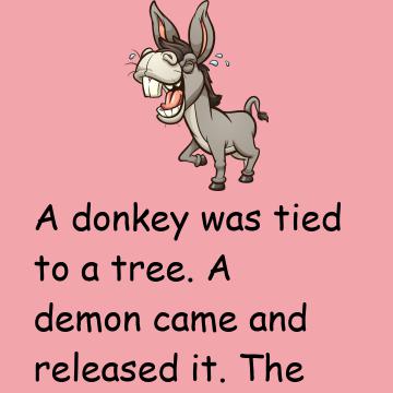 A Donkey Was Tied To A Tree