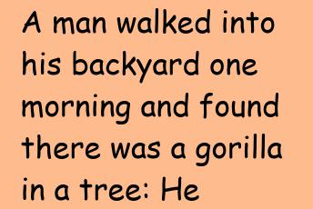 A Gorilla In A Tree