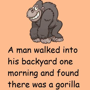 A Gorilla In A Tree