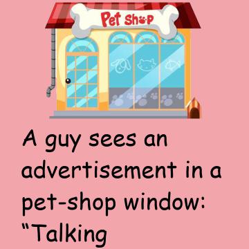 A Guy Sees An Advertisement In A Pet-Shop Window