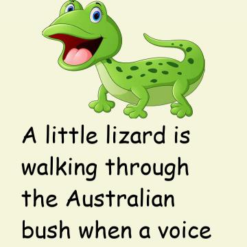 A Little Lizard Is Walking Through The Bush