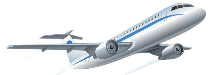 A Man Boards A Flight
