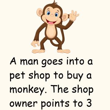 A Man Goes Into A Pet Shop To Buy A Monkey
