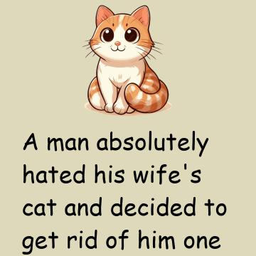 A Man Hated His Wife’s Cat