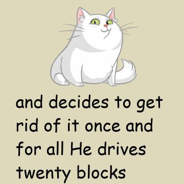 A Man Hates His Wife's Cat With A Passion