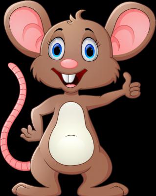 A Mouse Looked Through The Crack