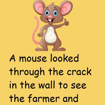 A Mouse Looked Through The Crack
