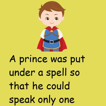 A Prince Was Put Under A Spell