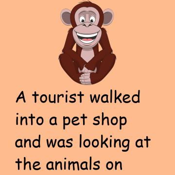A Tourist Walked Into A Pet Shop
