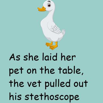 A Woman Brought A Very Limp Duck Into A Veterinary Surgeon
