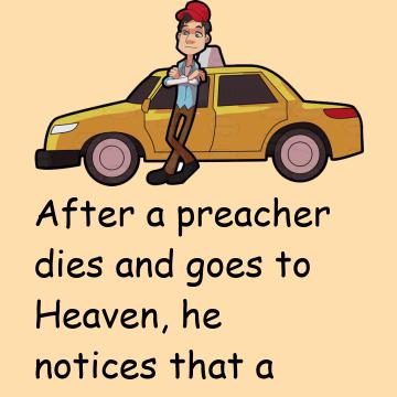 All Hail The Taxi Driver?