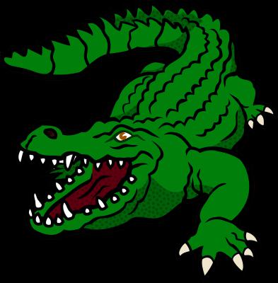 Alligator Shoes