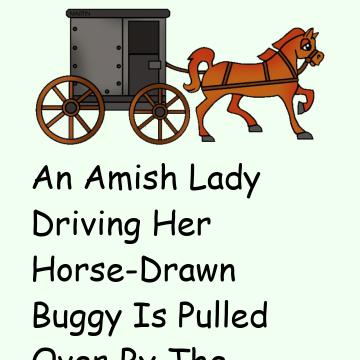 An Amish Lady Driving Her Horse-Drawn Buggy
