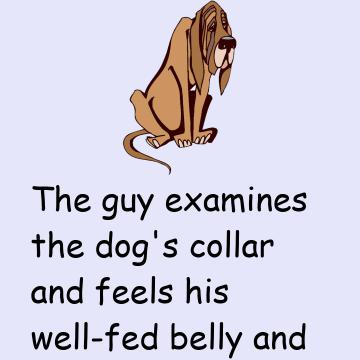 An Old, Tired Looking Dog Wanders Into A Guy's Yard