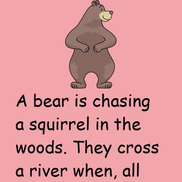 Bear And Squirrel