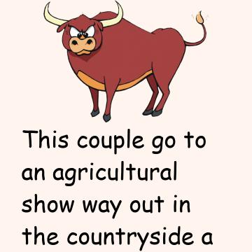 Bull Auction
