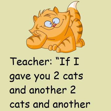 Cats And Apples