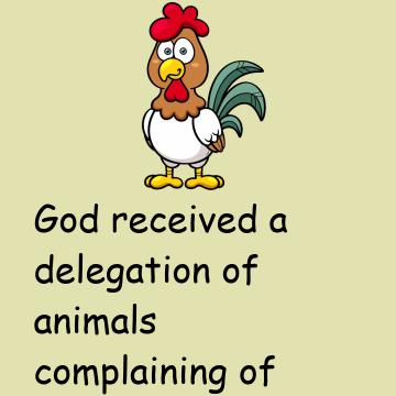 Chicken, Elephant, Giraffe And God