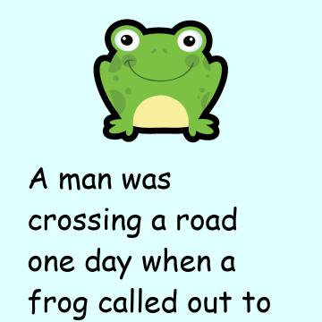 Computer Programmer And Frog