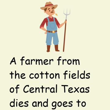 Cotton Farmer