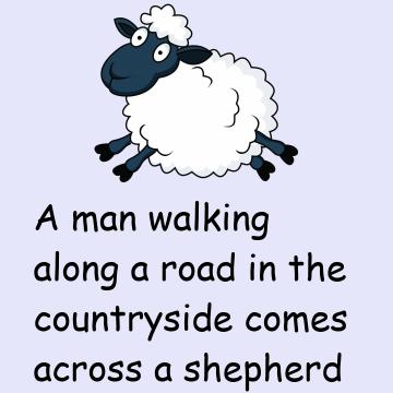 Counting Sheep