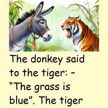 Donkey And Tiger