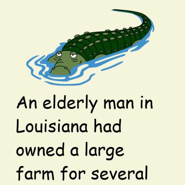 Feed The Alligator