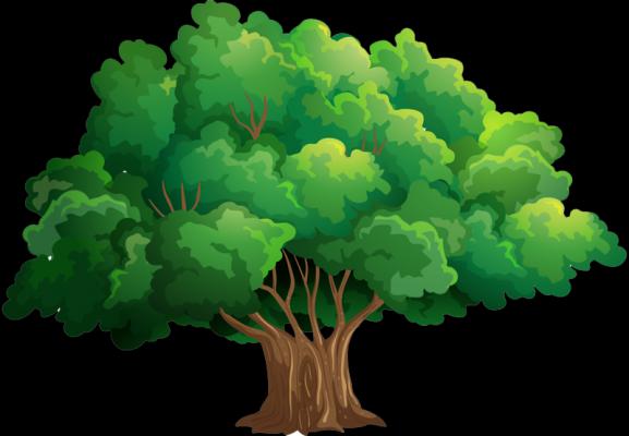 Four Seasons Of A Tree