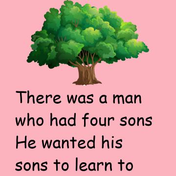 Four Seasons Of A Tree