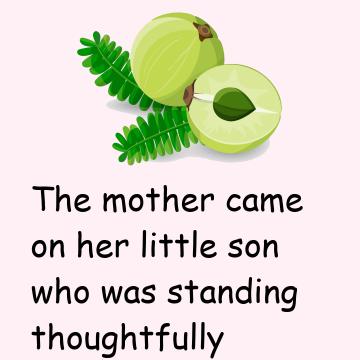 Gooseberries And Logic