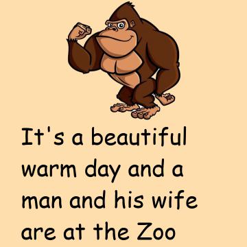 Gorilla Enticer