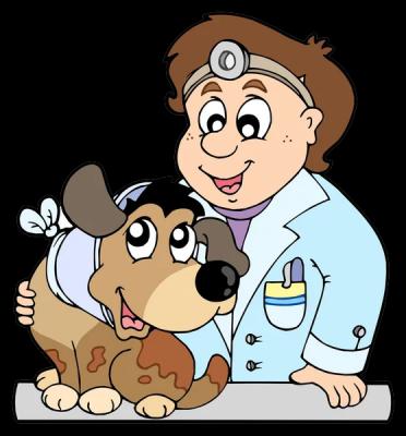 Honest Veterinarian