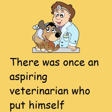 Honest Veterinarian