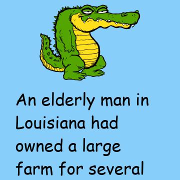 I'm Here To Feed The Alligator