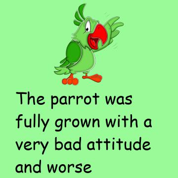 Joke: The Parrot Was Fully Grown With A Very Bad Attitude