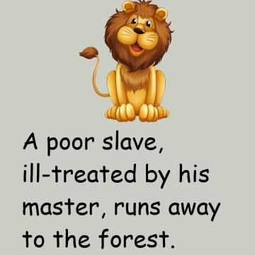 Lion And The Poor Slave