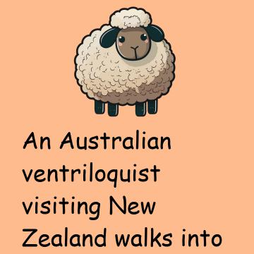 Lying Sheep