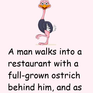 Man And Ostrich