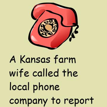 Phone Fault