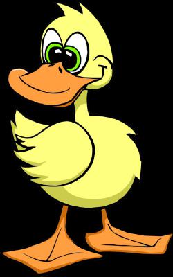 Plaster Duck