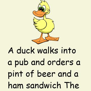 Plaster Duck