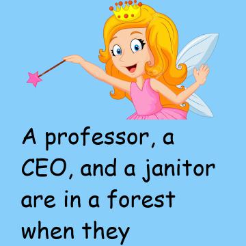 Professor, Janitor And Ceo