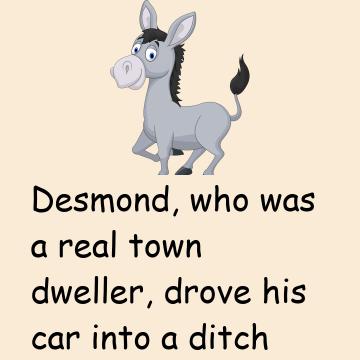 Pull Dobbin Pull