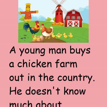 Raising Chickens