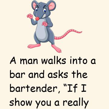 Rat And Piano
