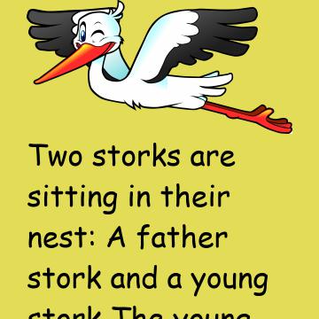 Stork Family