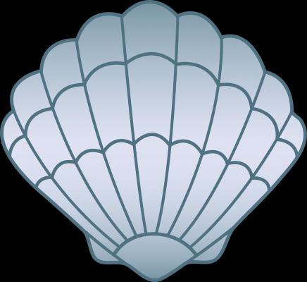 Story: Sea Shells And Happiness Of Children